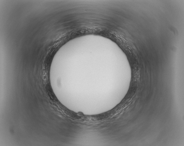 X0000115431109200912020918