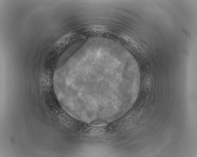 X0000115431110200912020918