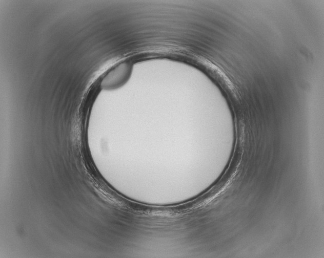 X0000115431114200912020918