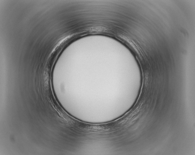 X0000115431115200912020918