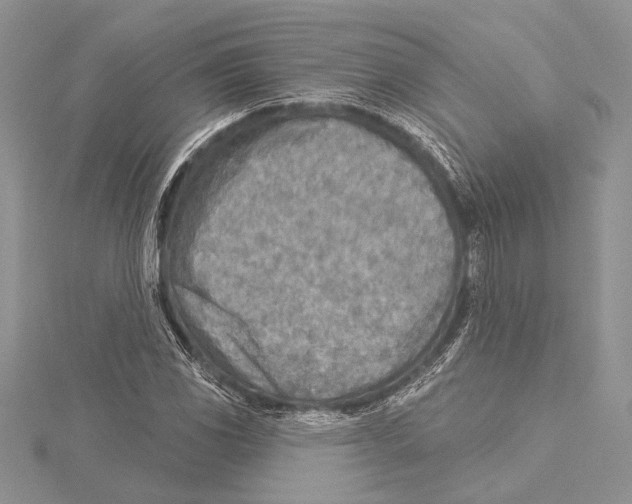 X0000115431117200912020918