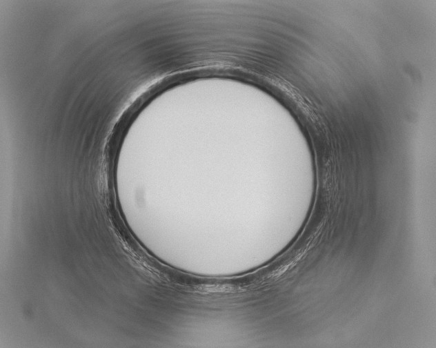 X0000115431118200912020918