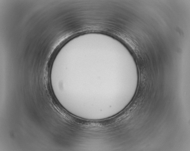 X0000115431119200912020918