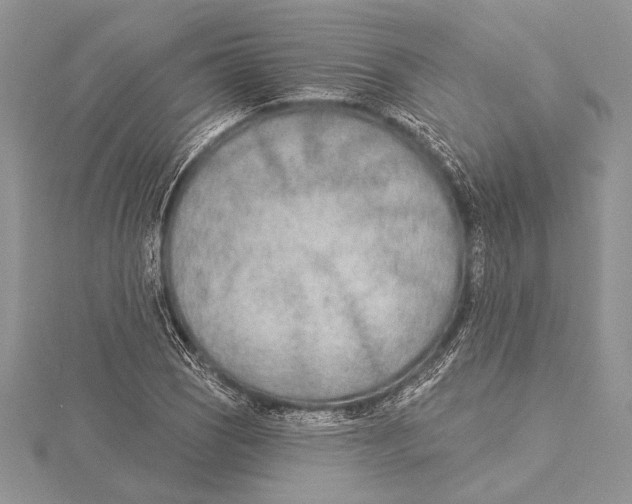 X0000115431121200912020918