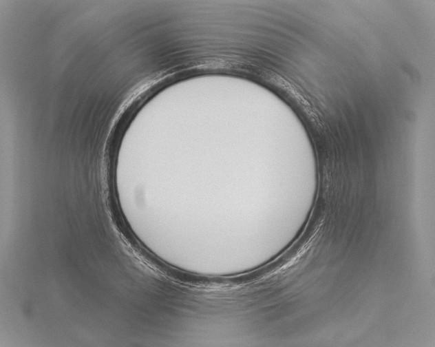 X0000115431122200912020919