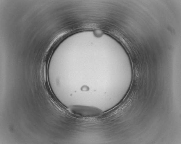 X0000115431123200912020919