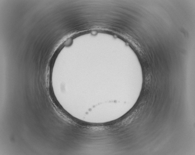 X0000115431126200912020919