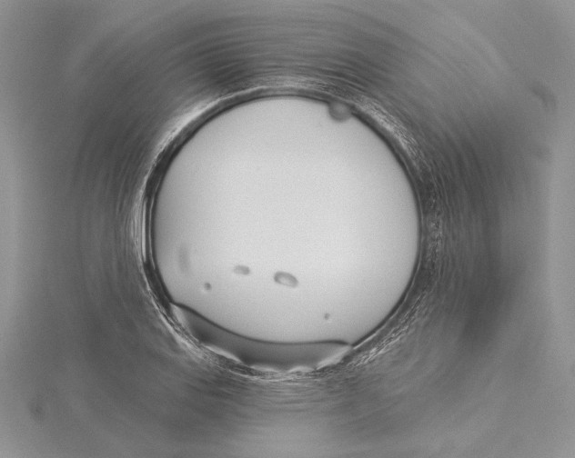 X0000115431127200912020919