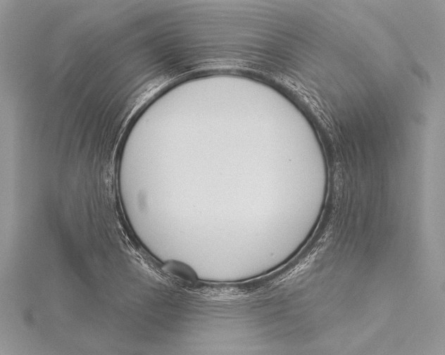 X0000115431129200912020919