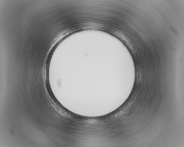 X0000115431130200912020919