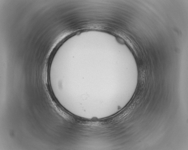 X0000115431131200912020919