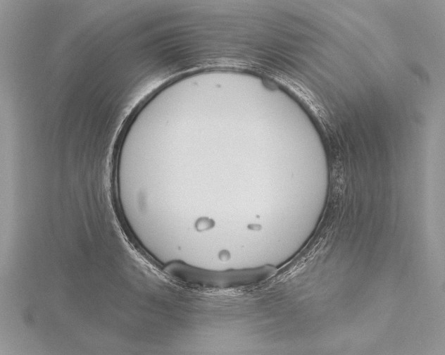 X0000115431135200912020919