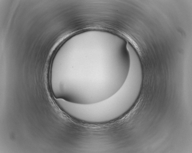 X0000115431138200912020919