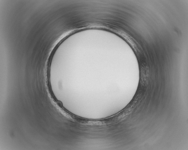 X0000115431142200912020919