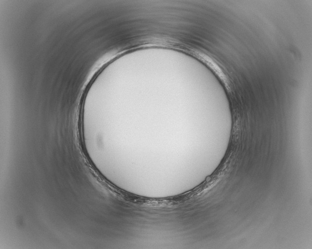 X0000115431146200912020919