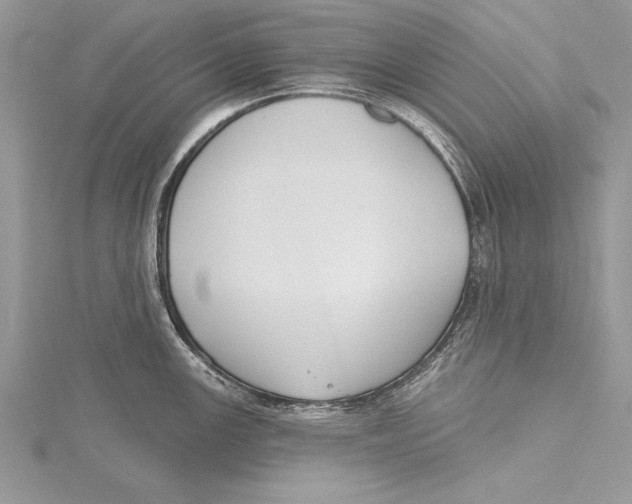 X0000115431147200912020919