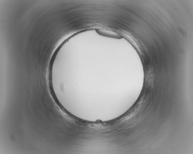 X0000115431149200912020919