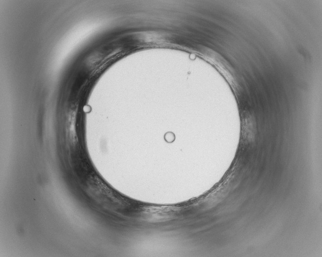 X0000115431150200912020919