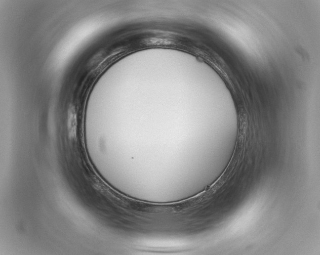 X0000115431151200912020919