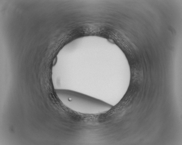 X0000115431153200912020918