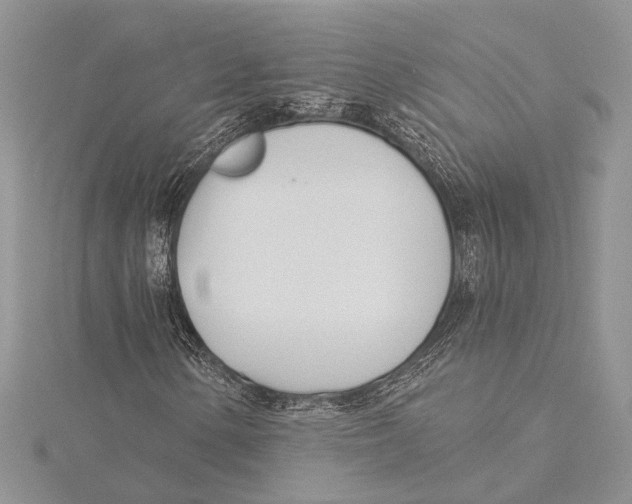 X0000115431154200912020918