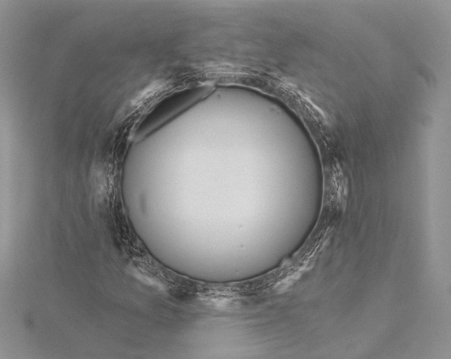 X0000115431157200912020918