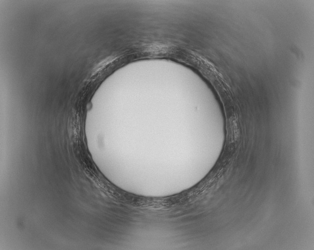 X0000115431158200912020918