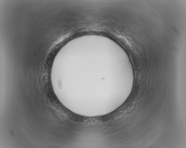 X0000115431159200912020918