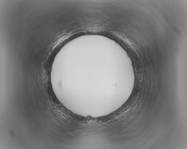 X0000115431160200912020918