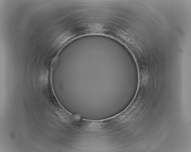 X0000115431161200912020918