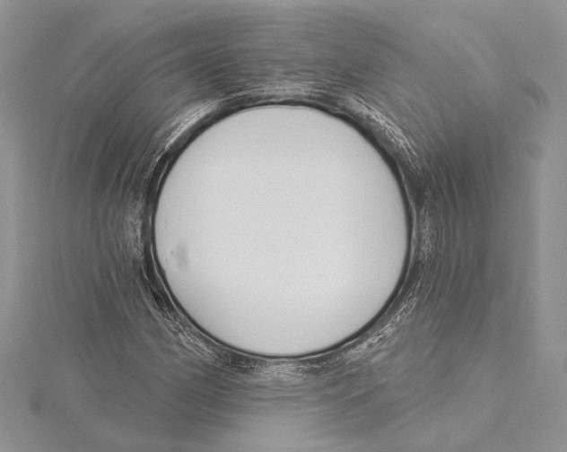 X0000115431162200912020918