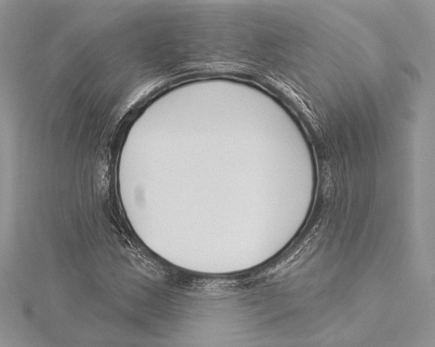 X0000115431163200912020918