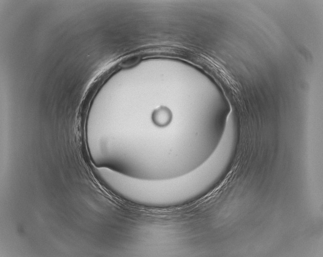 X0000115431164200912020918