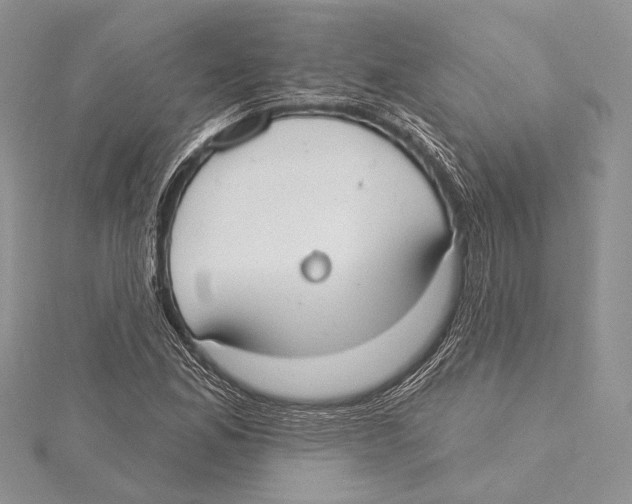 X0000115431165200912020918