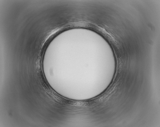 X0000115431166200912020918