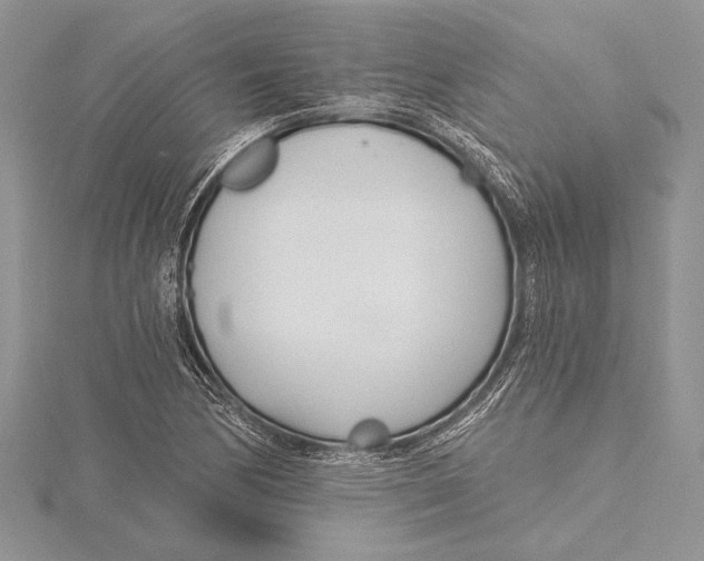 X0000115431170200912020918