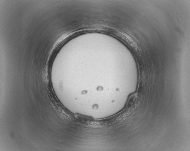 X0000115431172200912020918