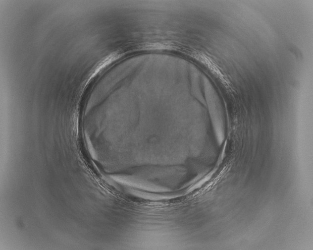 X0000115431173200912020918