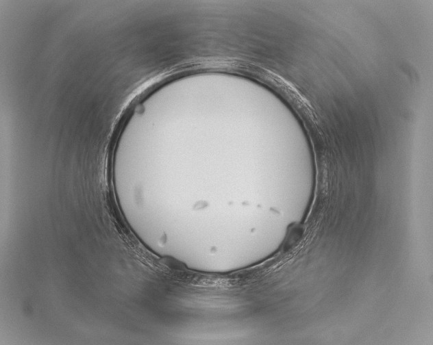 X0000115431174200912020918