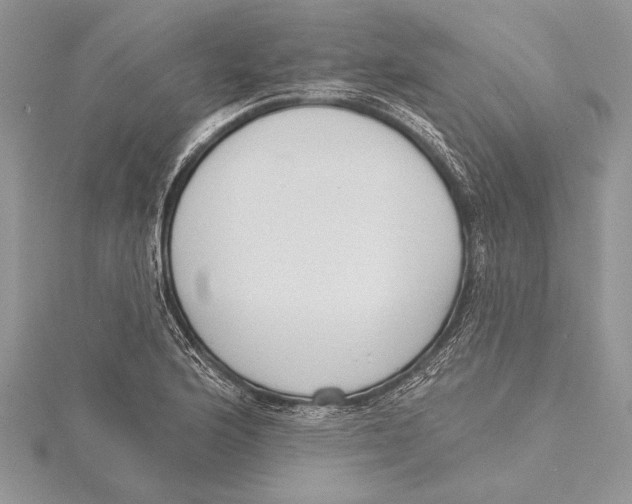 X0000115431176200912020918