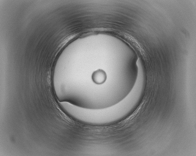 X0000115431177200912020918