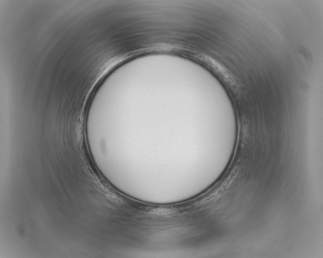 X0000115431178200912020918