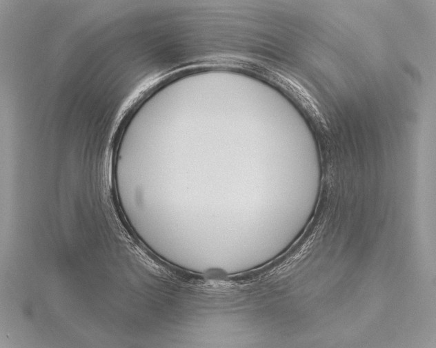 X0000115431180200912020918