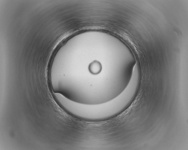 X0000115431181200912020918