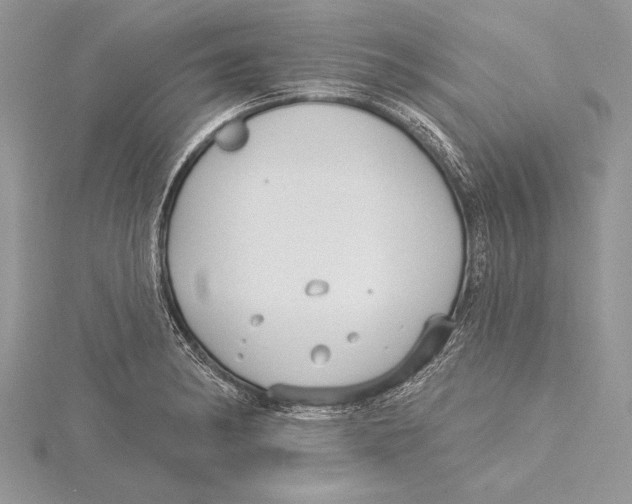 X0000115431182200912020918