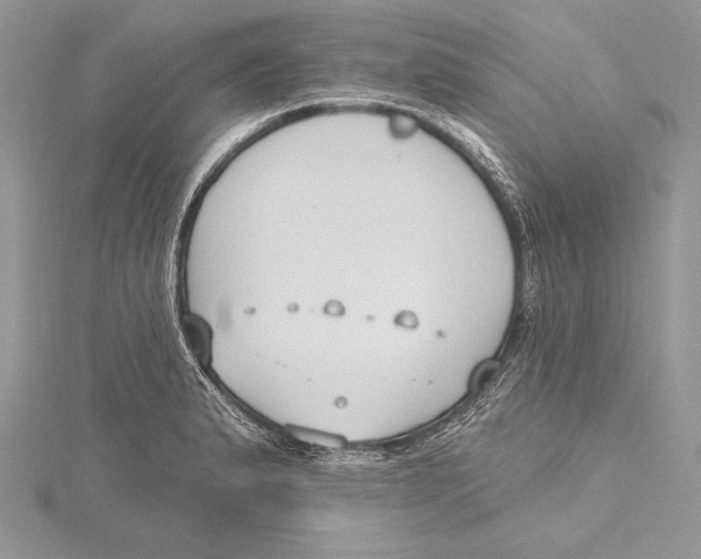 X0000115431183200912020918