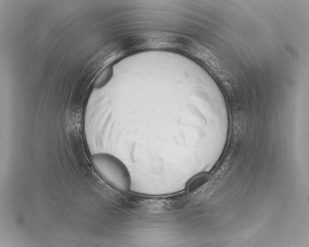 X0000115431185200912020918