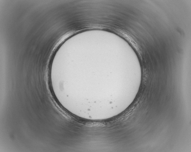 X0000115431187200912020918