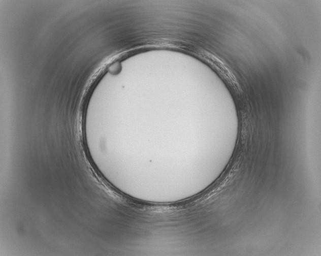 X0000115431188200912020918