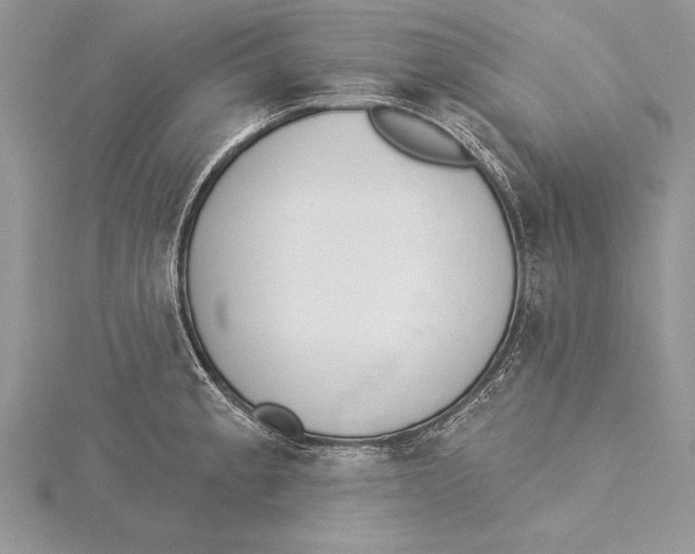 X0000115431189200912020918